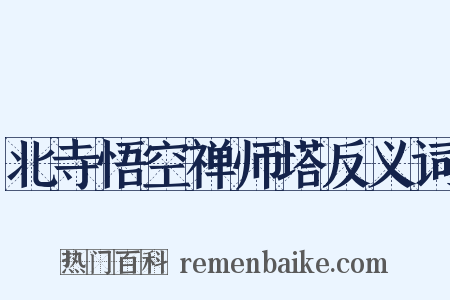 北寺悟空禅师塔反义词是什么意思的图片